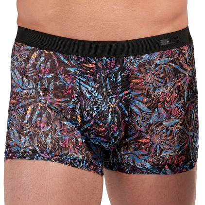 Boxer Temptation Biscayne HOM