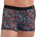 Boxer Temptation Biscayne HOM