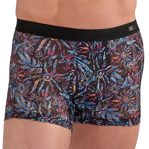 Boxer Temptation Biscayne HOM