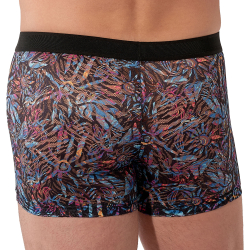 Boxer Temptation Biscayne HOM