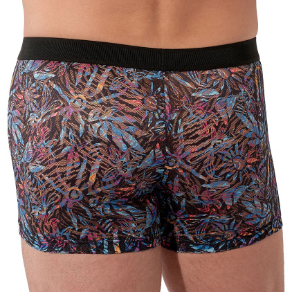 Boxer Temptation Biscayne HOM