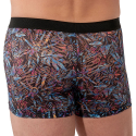 Boxer Temptation Biscayne HOM