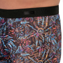 Boxer Temptation Biscayne HOM