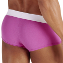 Boxer Court Sexy Fun Rose WOH
