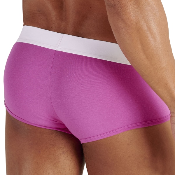 Boxer Court Sexy Fun Rose WOH