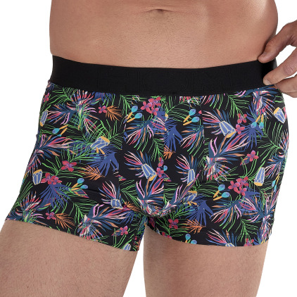 Boxer Havana HOM