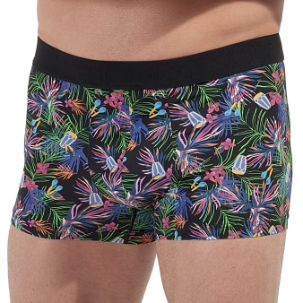 Boxer Havana HOM