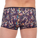 Boxer Temptation Plume Viscaya HOM