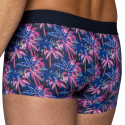 Boxer Coton Palm Party Bike