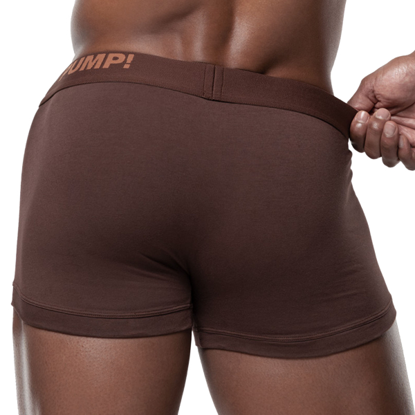 Pump! Espresso Classic Boxer Briefs - Brown