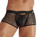 Boxer Mesh Night Universe Noir WOH