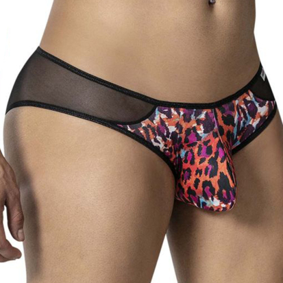 Leopard Mesh Briefs