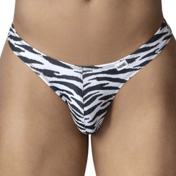 String Zèbre