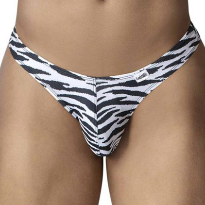 String Zèbre