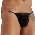 String Personal Allure Tigré WOH