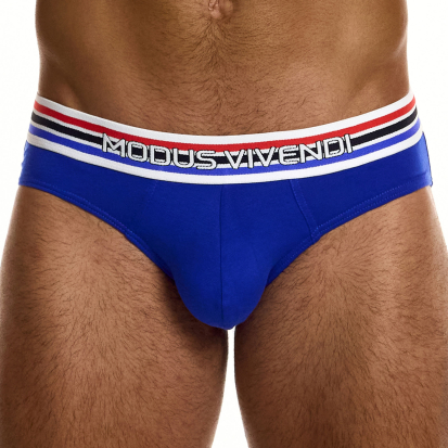 Modus Vivendi Heritage Classic Briefs - Royal