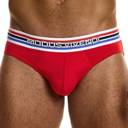 Modus Vivendi Heritage Classic Briefs - Red