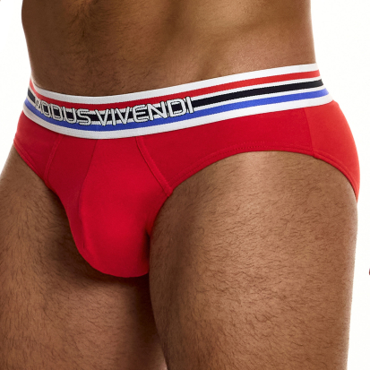 Modus Vivendi Heritage Classic Briefs - Red