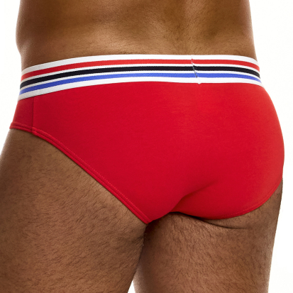 Modus Vivendi Heritage Classic Briefs - Red