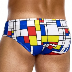 Modus Vivendi Mondrian Classim Swim Briefs