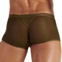 WOH Personal Allure Trunks - Olive