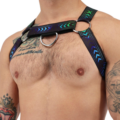 Harnais Bulldog Afterhours Noir - Bleu Breedwell