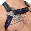 Harnais Bulldog Afterhours Noir - Bleu Breedwell