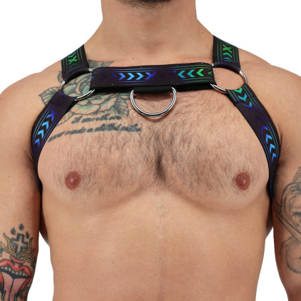Harnais Bulldog Afterhours Noir - Bleu Breedwell