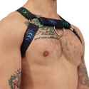 Harnais Bulldog Afterhours Noir - Bleu Breedwell