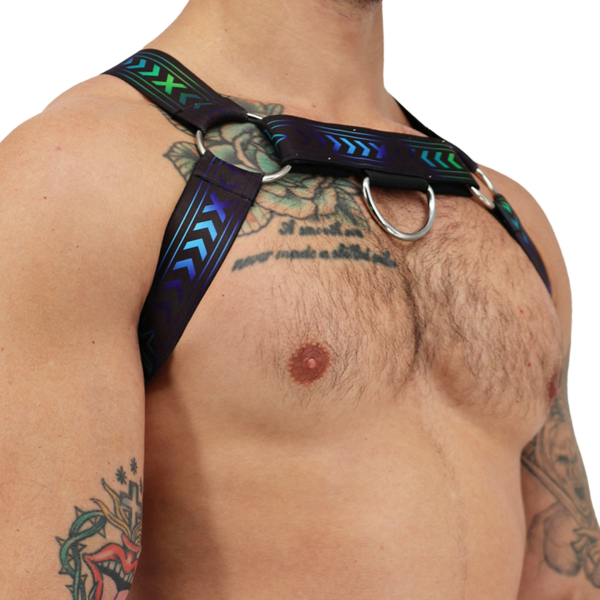 Harnais Bulldog Afterhours Noir - Bleu Breedwell