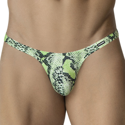 String Instinct Python CUT4MEN