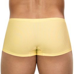 Boxer Latin Apolo Jaune Clever