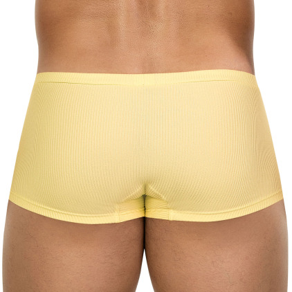 Boxer Latin Apolo Jaune Clever