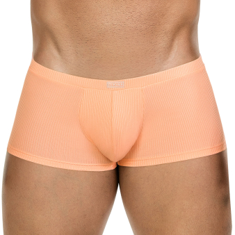 Boxer Latin Apolo Corail Clever