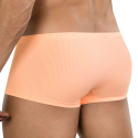 Boxer Latin Apolo Corail Clever