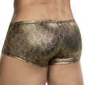 Clever Atlas Latin Trunks - Gold