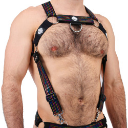 Harnais Body Icon Pride  Breedwell