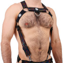 Harnais Body Icon Pride  Breedwell