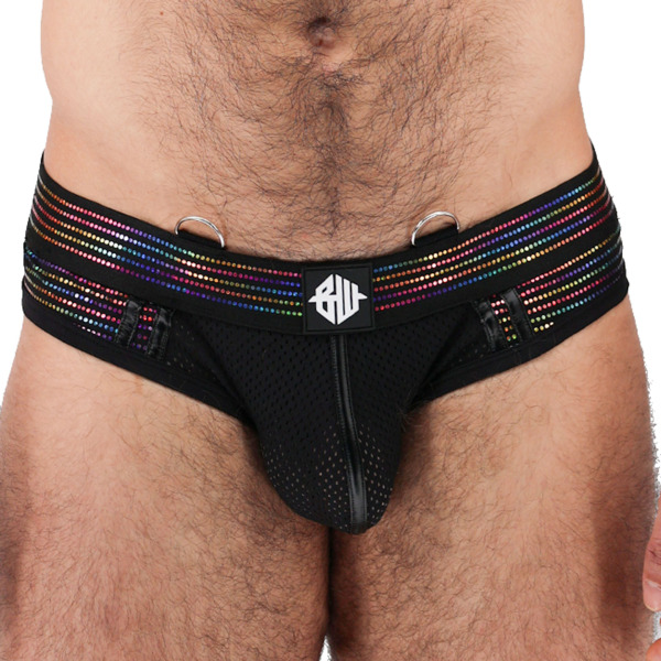 Breedwell Icon Pride Briefs 