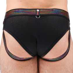 Breedwell Icon Pride Briefs 