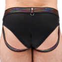 Breedwell Icon Pride Briefs 