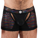 Breedwell Icon Pride Chap Thong