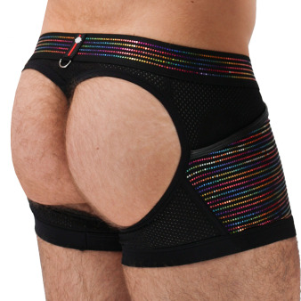 String Chaps Icon Pride Breedwell