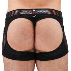 Breedwell Icon Pride Chap Thong