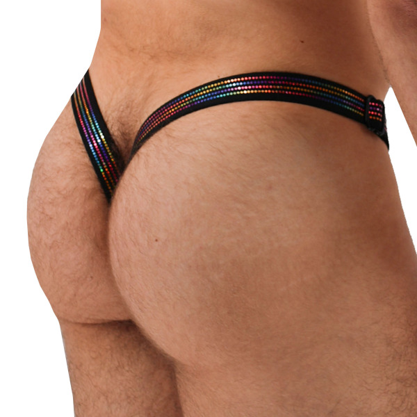 String Slingshot Icon Pride  Breedwell