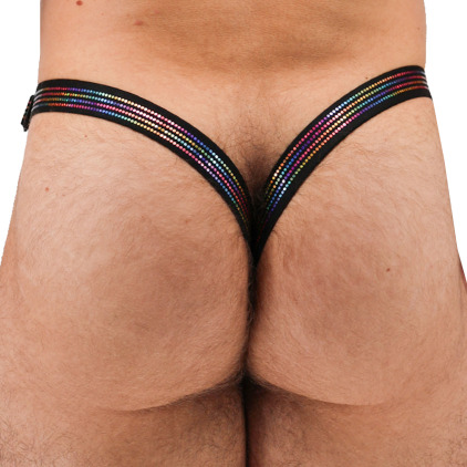String Slingshot Icon Pride  Breedwell