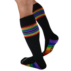 Paire de Chaussettes Icon Pride  Breedwell