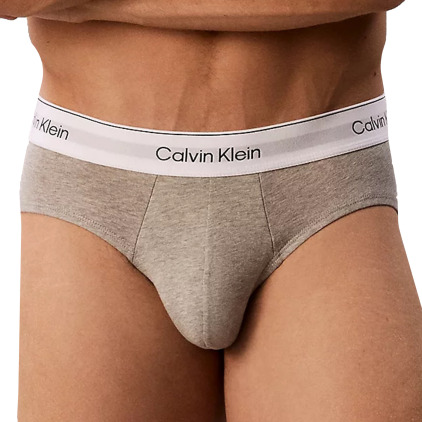 Calvin Klein 3-Pack Icon Cotton Briefs - Black - White - Heather Grey