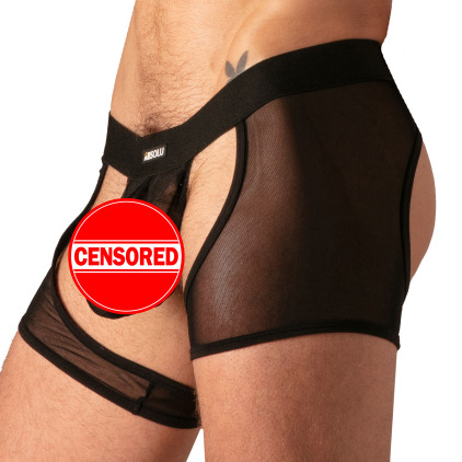 Absolu Male Bare Mesh Chaps - Black