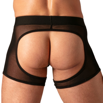 Absolu Male Bare Mesh Chaps - Black